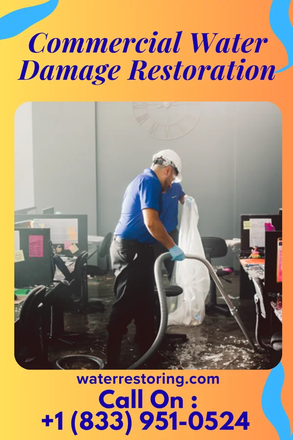 Commercial Water Damage Restoration in Albert City, IA