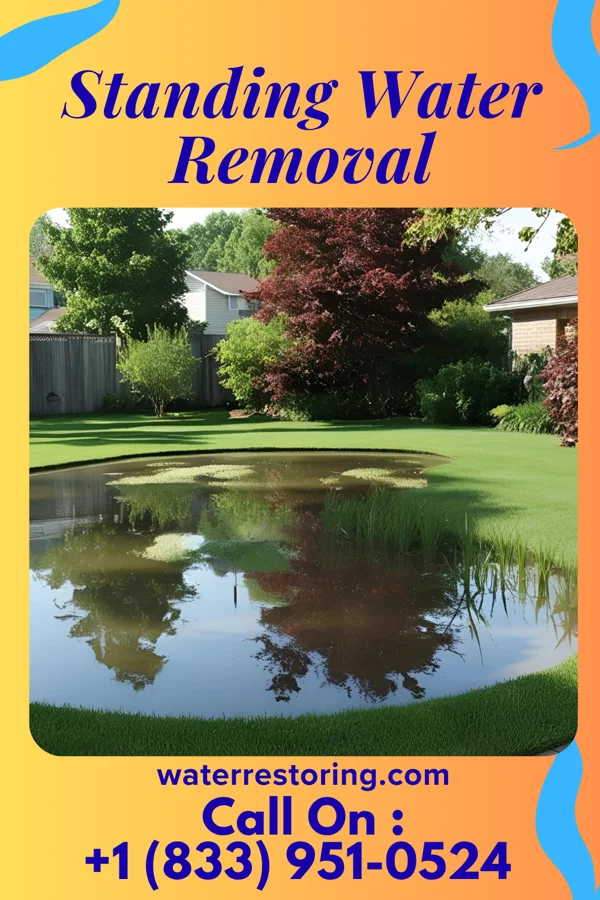 Standing Water Removal in Albert City, IA